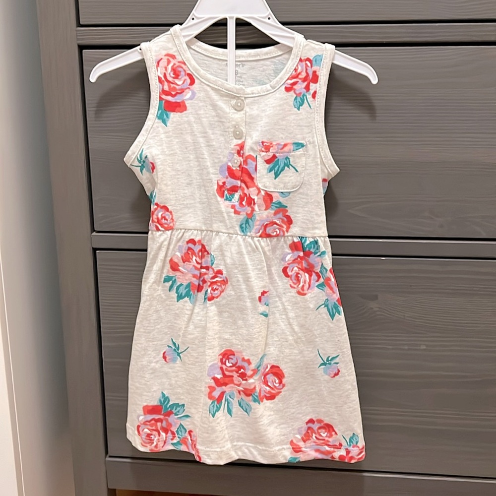Carter’s baby dress